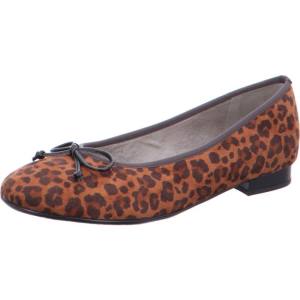 Ballerine Ara Ballet Pumps Pisa Donna Marroni | ARA795BDK