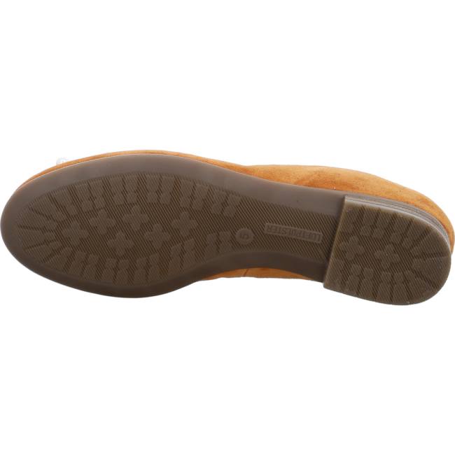 Ballerine Ara Ballet Pumps Sardinia Ambra Donna Marroni | ARA170THK