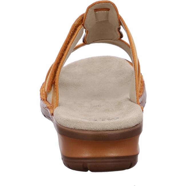 Mules Ara Hawaii Ochre Donna Marroni | ARA978YBA