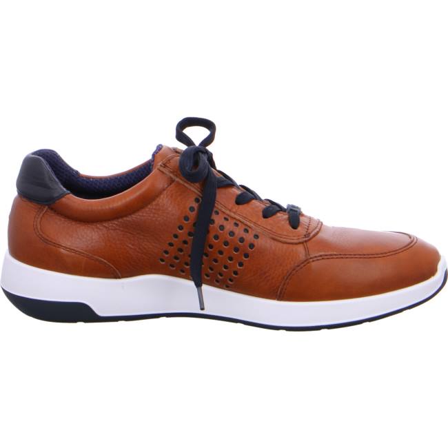 Scarpe Da Ginnastica Ara Patrick Uomo Marroni | ARA109HVW