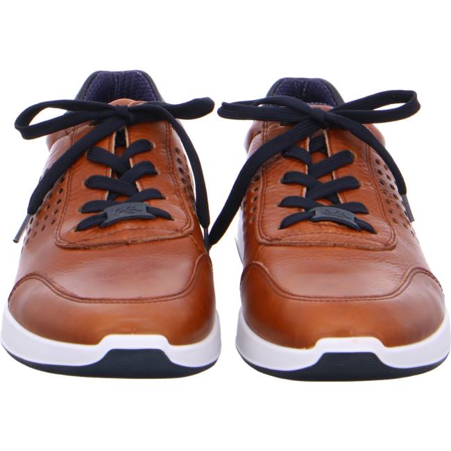 Scarpe Da Ginnastica Ara Patrick Uomo Marroni | ARA109HVW