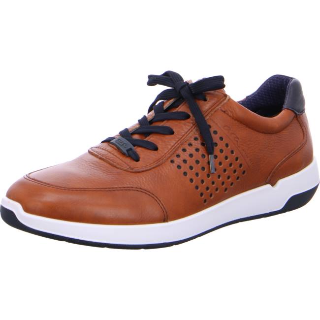Scarpe Da Ginnastica Ara Patrick Uomo Marroni | ARA109HVW