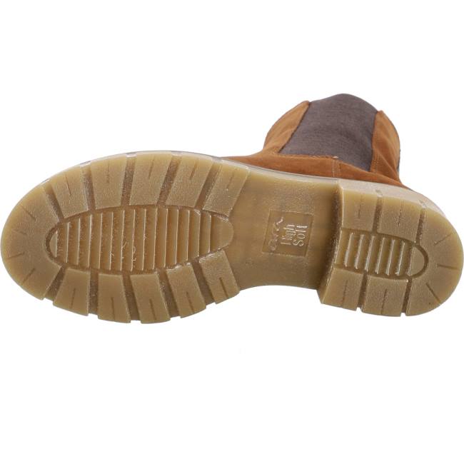 Stivali Ara Ankle Dover Nuts Donna Marroni | ARA704ART